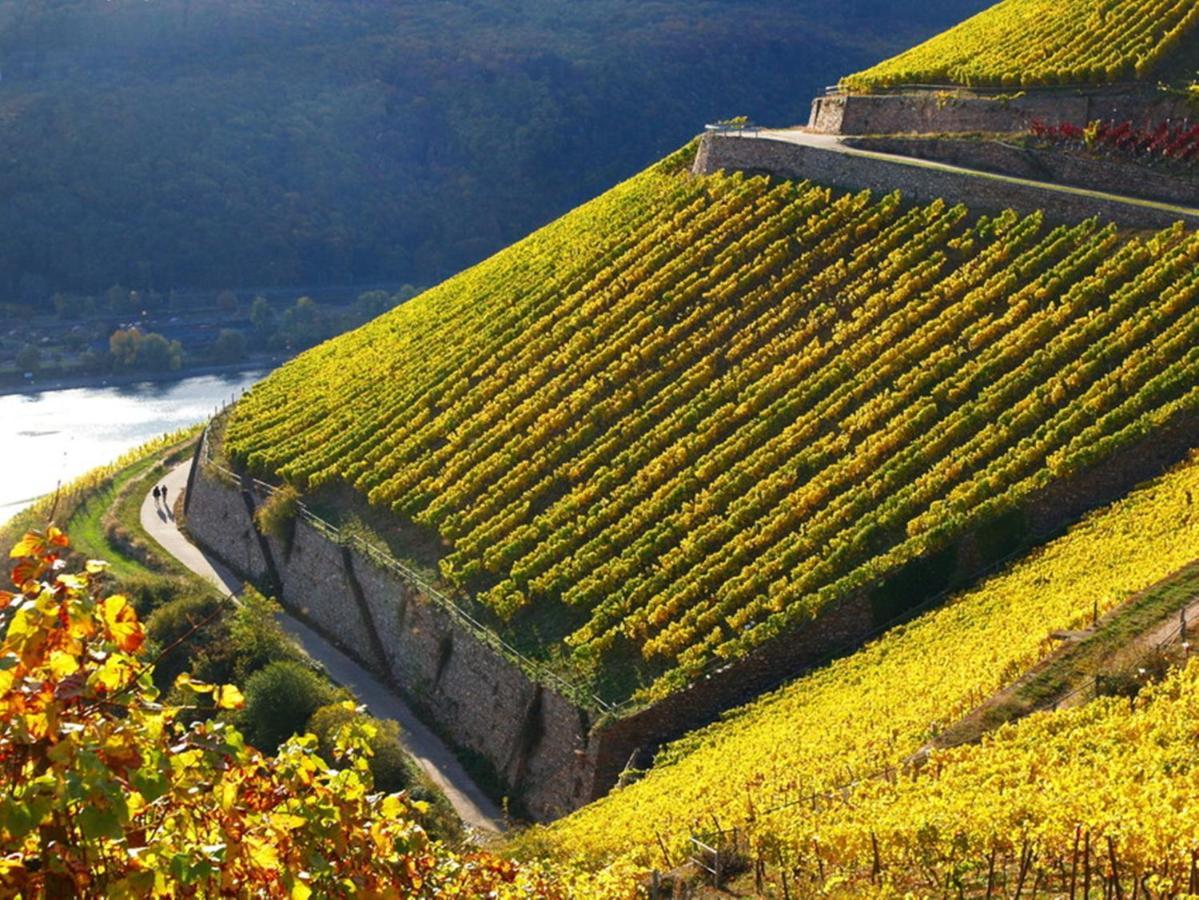 Hotel Trapp Rüdesheim am Rhein Esterno foto