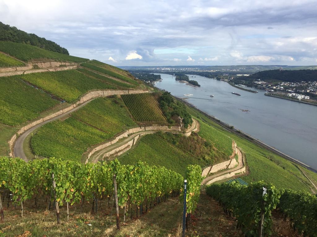 Hotel Trapp Rüdesheim am Rhein Esterno foto