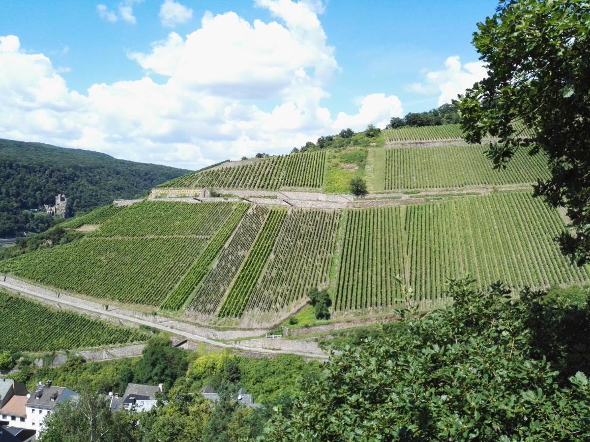 Hotel Trapp Rüdesheim am Rhein Esterno foto